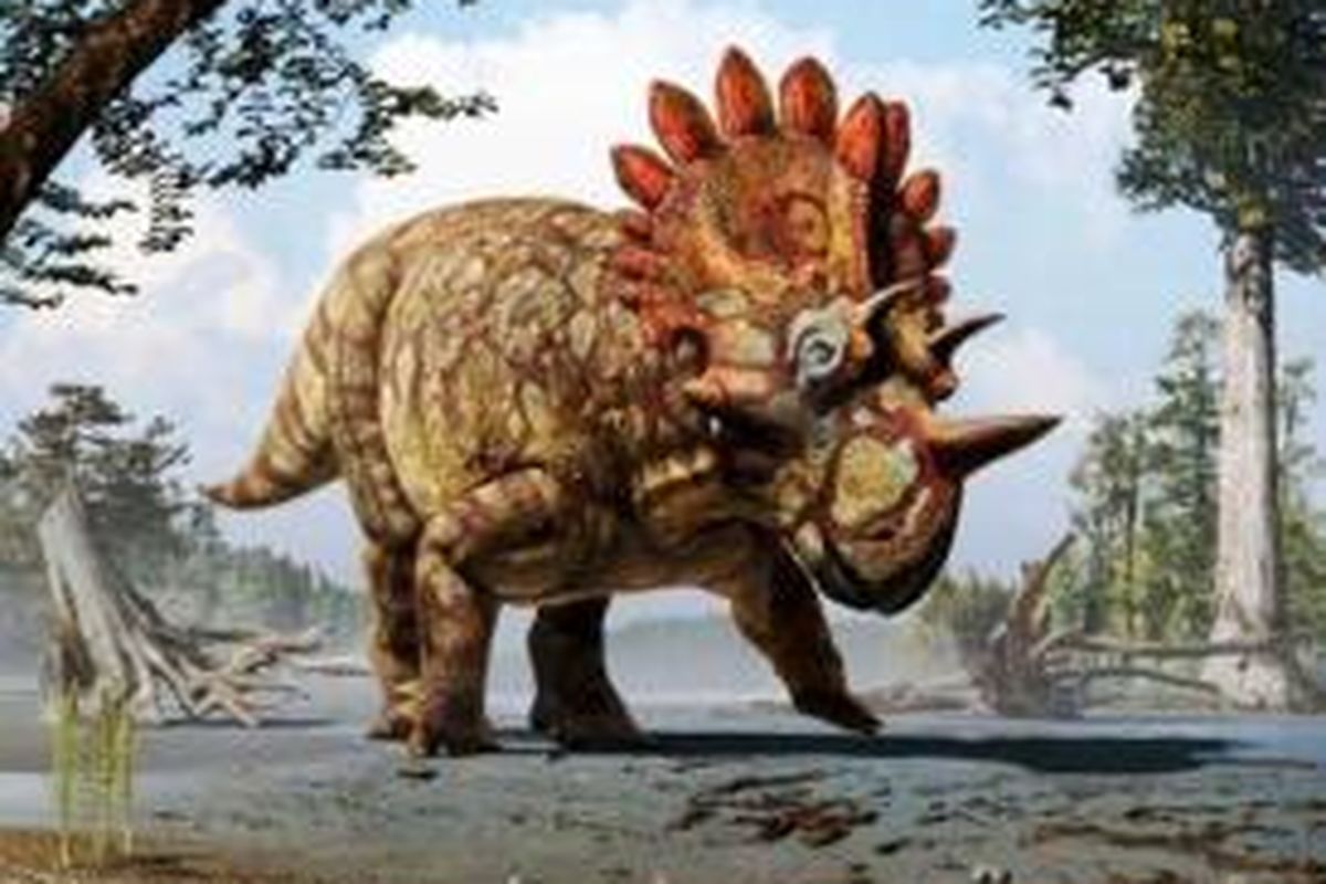 Regaliceratops peterhewsi.