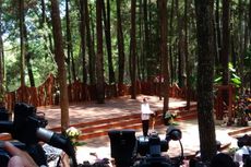 Jokowi Tahu Hutan Pinus Mangunan dari Instagram 