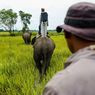 Taman Nasional Way Kambas Masih Tutup, Kapan Dibuka?