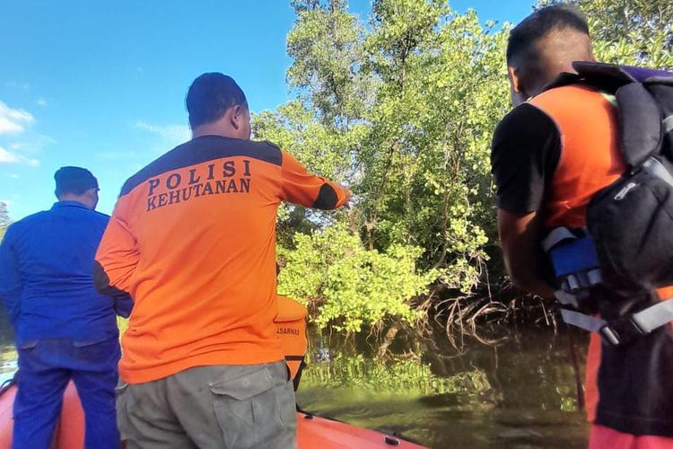 Tim SAR gabungan sedang melakukan pencarian seorang pria hilang diterkam buaya di muara sungai Bele, Desa Kota Baru, Kecamatan Kota Baru, Kabupaten Ende, Nusa Tenggara Timur (NTT) pada Minggu (5/5/2024). 