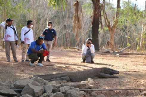 Wisata di Kawasan Konservasi, Pemerintah Terapkan Konsep 3C