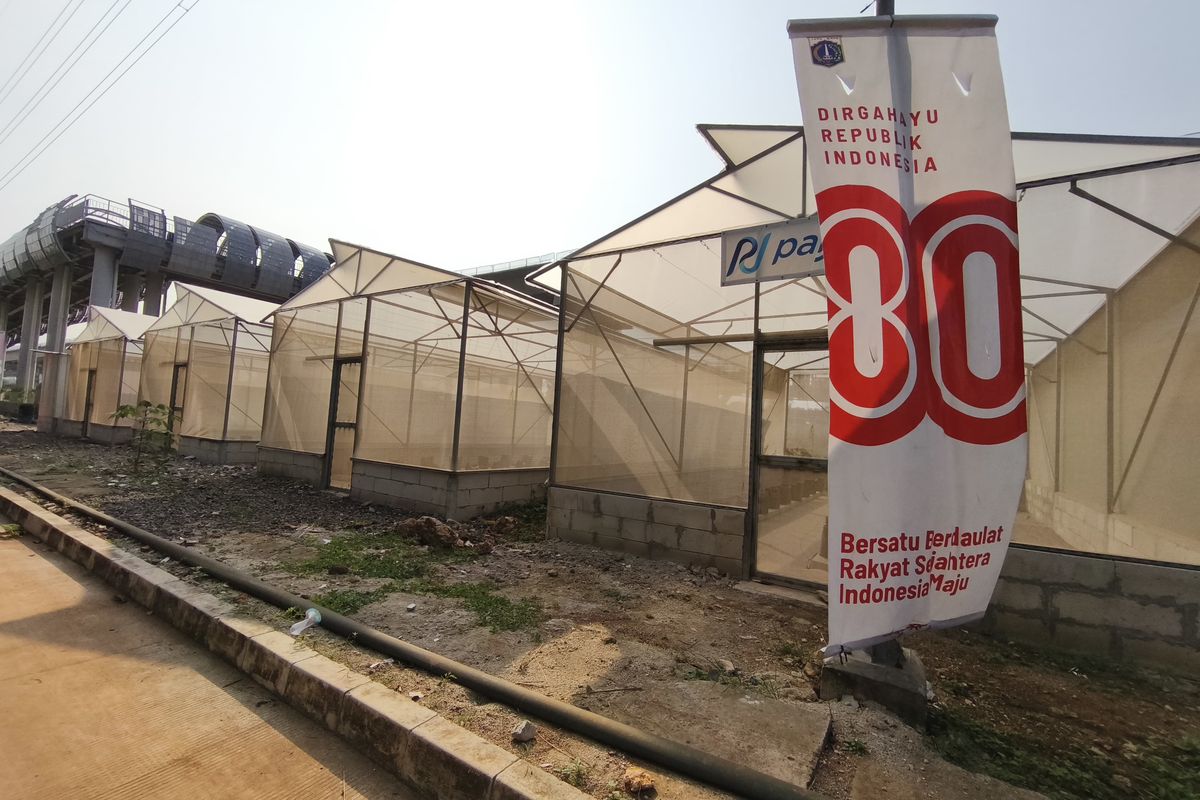 Mengusung konsep Urban farming, begini pemandangan lahan kebun di Kampung Susun Bayam. Riset IPB University menunjukkan urban farming ekologis bisa menurunkan suhu perkotaan dan memperbaiki kualitas lingkungan. Simak selengkapnya.