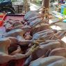 Pasca-Lebaran, Harga Ayam di Semarang Masih Tinggi
