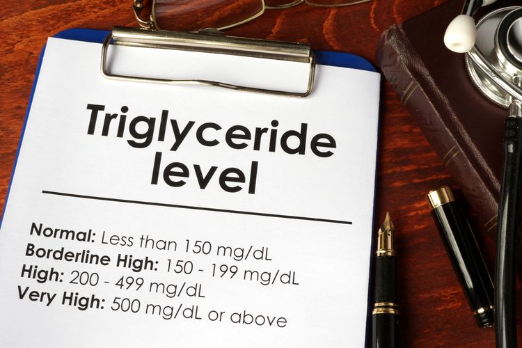 Ilustrasi trigliserida tinggi, cara mengatasi trigliserida tinggi, cara menurunkan trigliserida tinggi, cara menurunkan trigliserida tinggi secara alami dan pakai obat