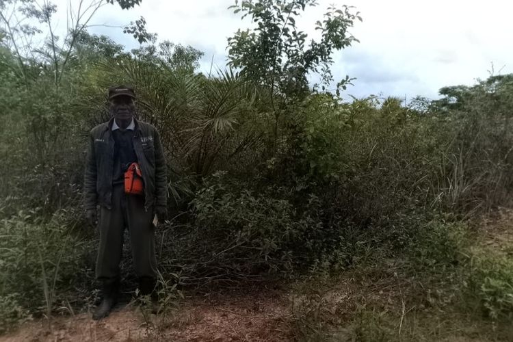 Jejak Luka di Hutan Harapan: Kisah Kubu Lalan Perjuangkan Ruang Hidup