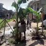 Soal Jalan Rusak Ditanam Pisang, Kades Poncoharjo Demak: Warga Enggak Sabar...