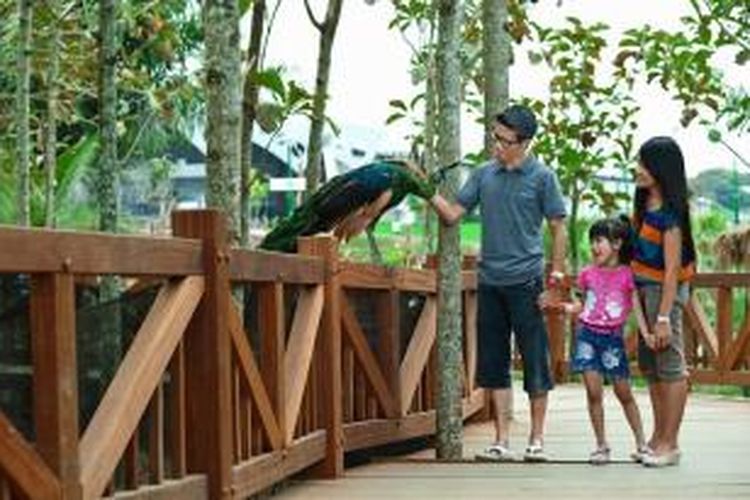 Eco Green Park, Kota Wisata Batu, Jawa Timur