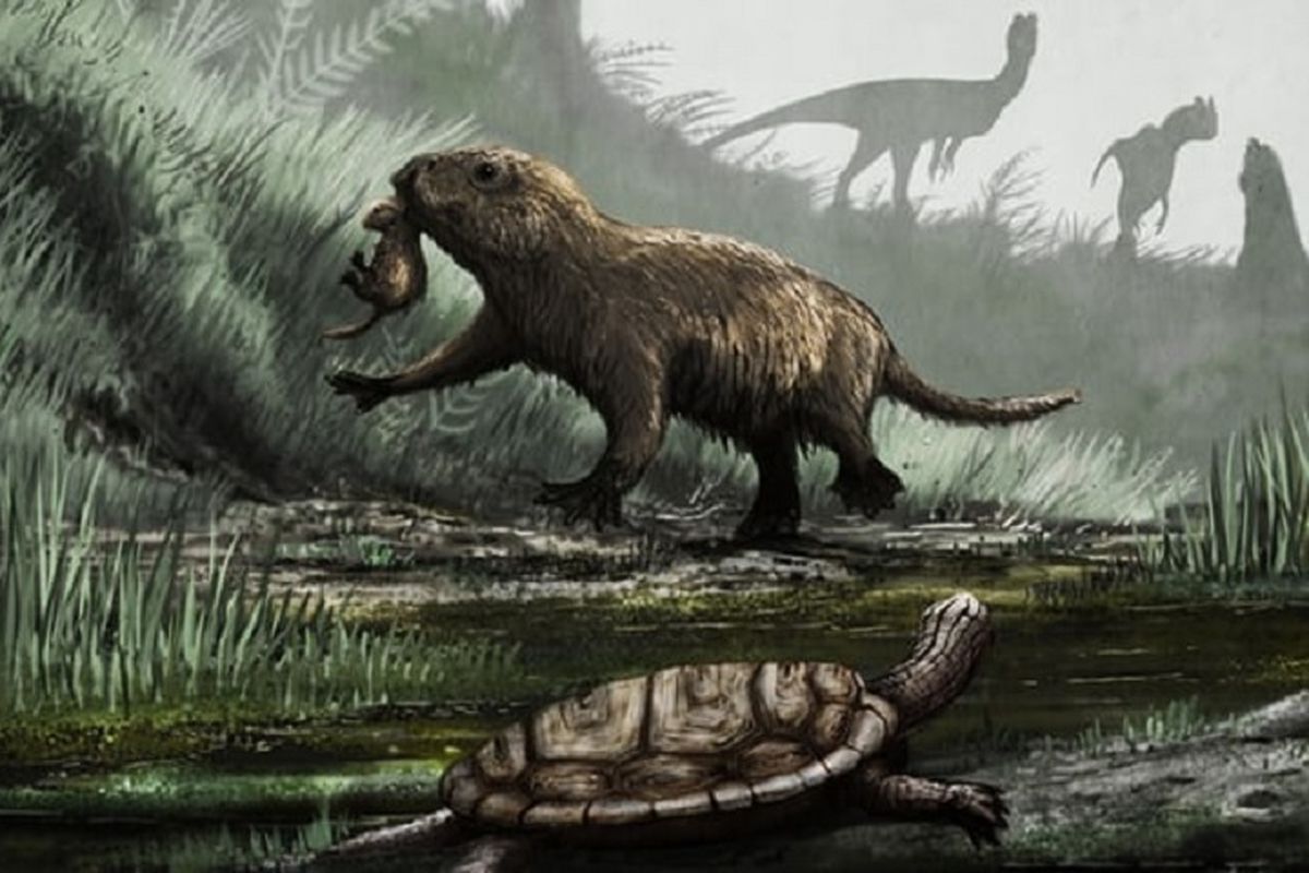 Kayentatherium, mamalia zaman dinosaurus.