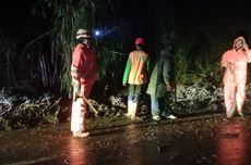 Tanah Longsor Tutup Akses Jalan ke Dieng, BPBD Wonosobo Kerahkan Alat Berat