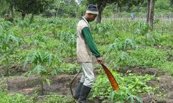 Lewat Proses Alami, Sasa Bikin Produk Samping Jadi Pupuk Organik Cair