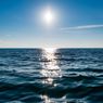 Akibat Peningkatan Suhu Air Laut bagi Kehidupan Organisme Laut