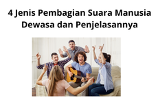 4 Jenis Pembagian Suara Manusia Dewasa dan Penjelasannya