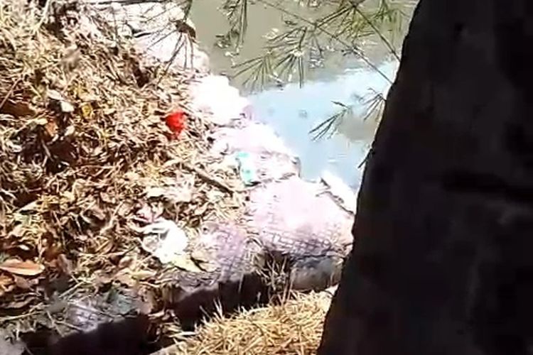 WN Aljazair Berendam hingga Malam di Danau Sunter, Apa Tujuannya?