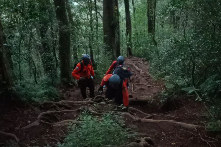 Petugas Basarnas Bali melakukan pencarian empat orang pendaki yang tersesat di Gunung Batukaru di Kecamatan Penebel, Kabupaten Tabanan, Provinsi Bali, Senin (30/6/2025).