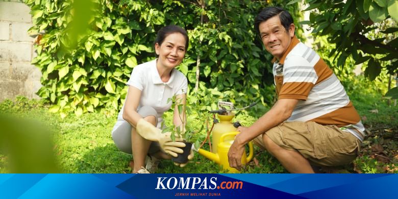 Bertani Di Kota Bisa Raup Omzet Puluhan Juta Rupiah Halaman All Kompas Com