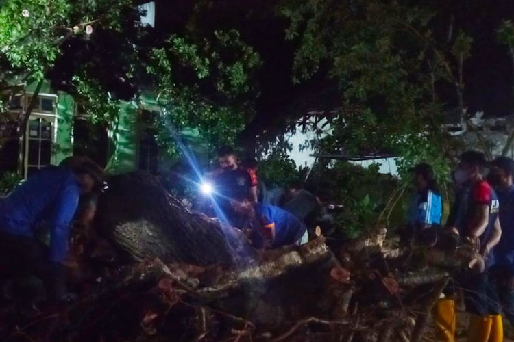 Petugas saat melakukan evakuasi terhadap pohon tumbang yang menimpa rumah warga di Desa Banjarwati, Kecamatan Paciran, Lamongan, Senin (21/2/2022) malam.