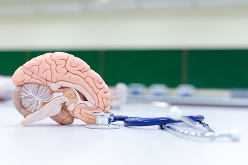Bagaimana Cara Mendiagnosis Mati Otak?