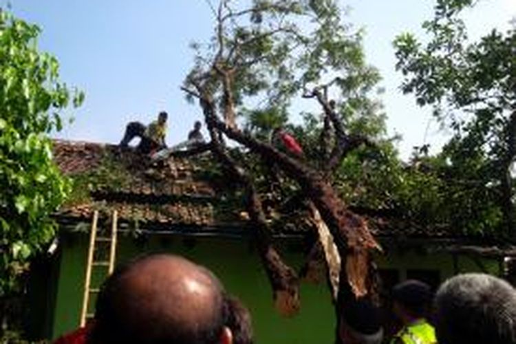 Pohon besar menimpa rumah warga di Kelurahan Cipadung Wetan, Kecamatan Panyileukan, Kota Bandung.