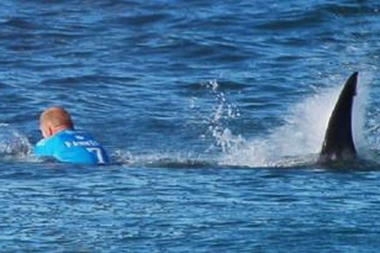 Mick Fanning memukul punggung hiu untuk menghalaunya 