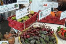 Aneka Buah Langka Ada di Festival Durian