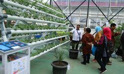 Dorong Tumbuhnya Pengusaha Agrobisnis, Kemnaker Gelar Pelatihan Vokasi