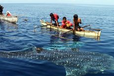 Gorontalo Harus Manfaatkan Ramainya Pariwisata Sulut