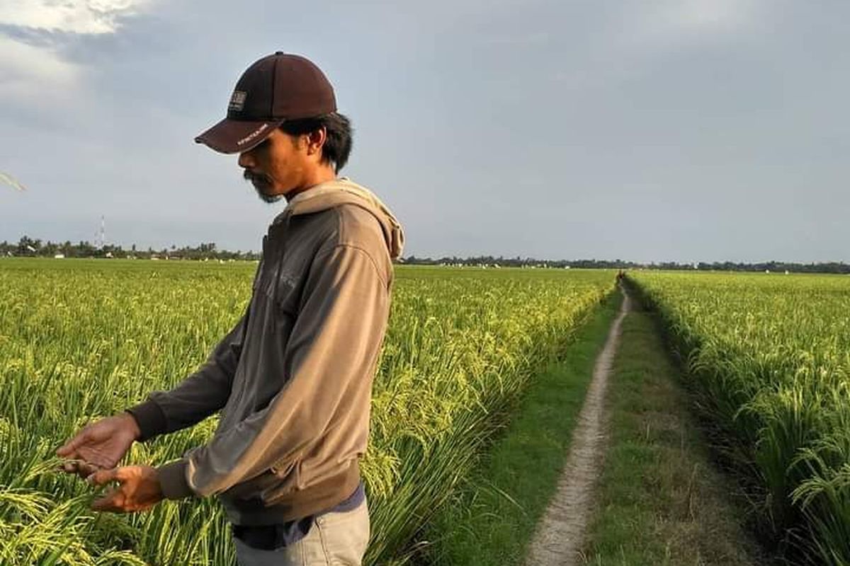 Arip Munawir memilih meneruskan pekerjaan orangtua menjadi petani di kota industri, Karawang.