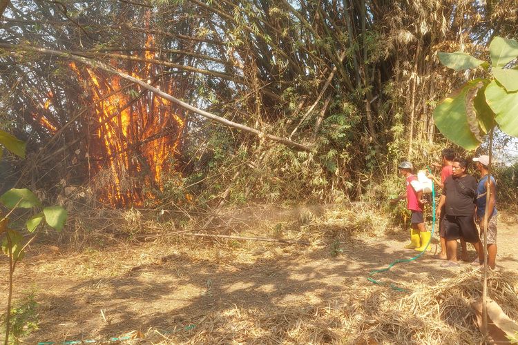 7 Hektar Lahan Terbakar di Madiun, Api Mendekati Permukiman Warga