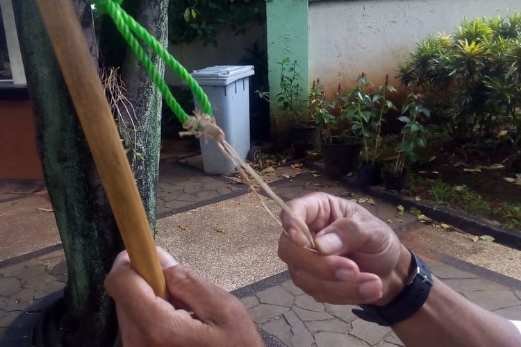 Daun pandan yang mengering bekas dipakai untuk memancing buaya di Taman Reptilia.