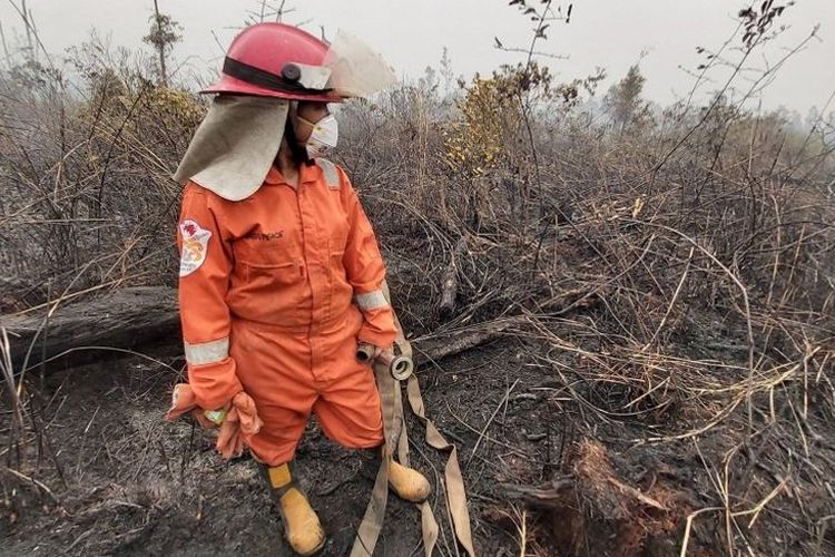 Sola berdiri di tengah lahan gambut yang terbakar di Pulang Pisau. Tahun 2019 adalah kali ketiganya bergabung dengan Tim Cegah Api Greenpeace untuk memadamkan kebakaran hutan dan lahan. 