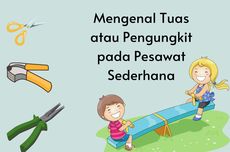 Mengenal Tuas atau Pengungkit pada Pesawat Sederhana