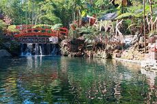 Umbulan Tanaka Waterfall di Malang, seperti Berada di Jepang