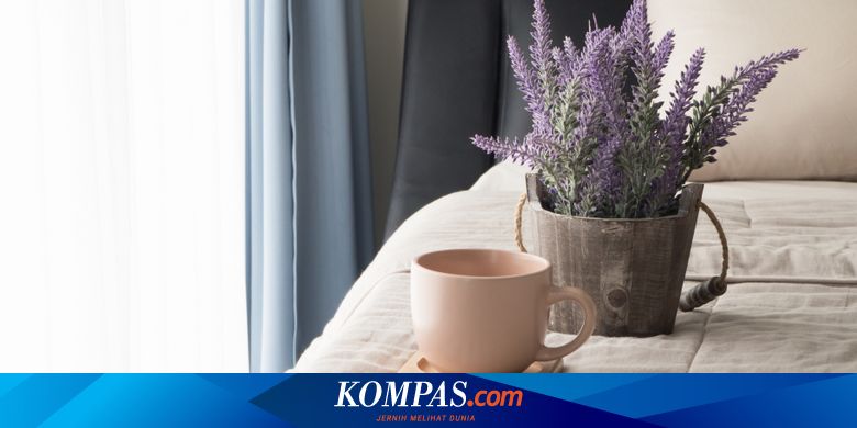 6 Tanaman Pengusir Nyamuk Yang Bisa Ditanam Di Rumah Halaman All Kompas Com