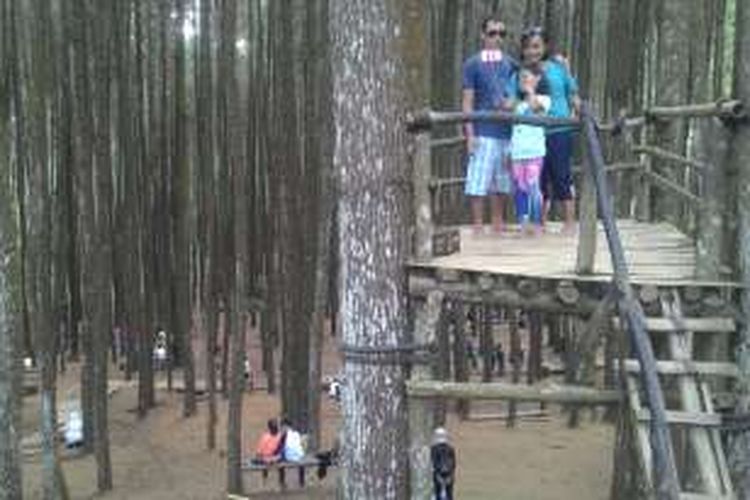 Hutan Pinus Mangunan terletak di Desa Dlingo, Mangunan, Bantul, DI Yogyakarta. Hutan Pinus ini makin populer sebagai lokasi hunting foto bahkan pre-wedding. 