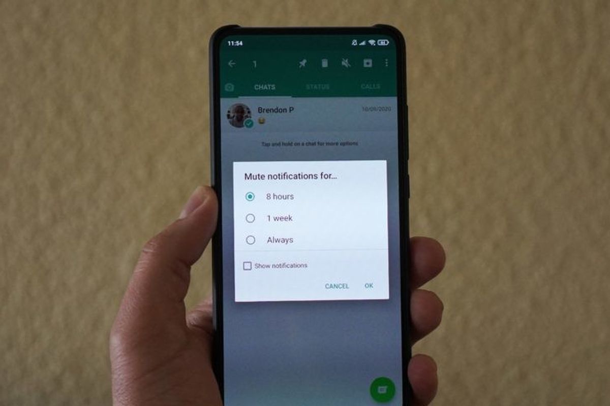 Fitur mematikan notifikasi percakapan pribadi/grup WhatsApp selamanya.