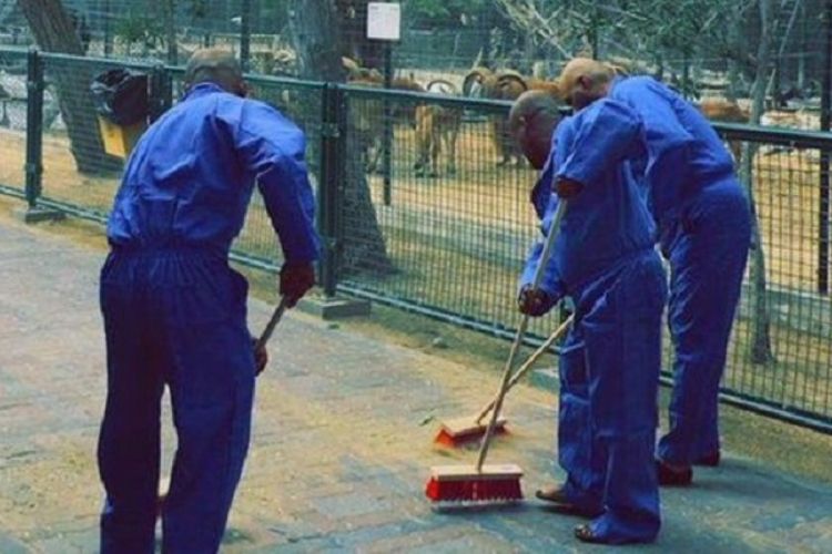 Sebuah foto yang dirilis oleh pemerintah Uni Emirat Arab menunjukkan tiga orang pria tengah menyapu jalanan di kebun binatang di Dubai.
