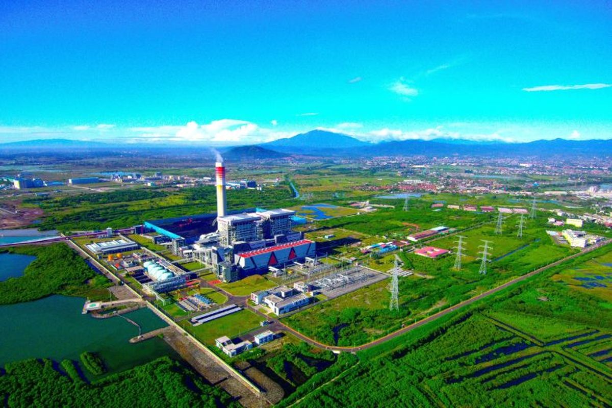 Dalam upaya mendukung keberlanjutan lingkungan CHN Energy melakukan sejumlah inisiatif. Salah satunya adalah melindungi ekosistem alami bakau atau mangrove. 