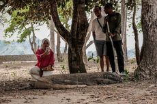 Taman Nasional Komodo, "Tiang Utama" Labuan Bajo Keropos dan Rapuh 