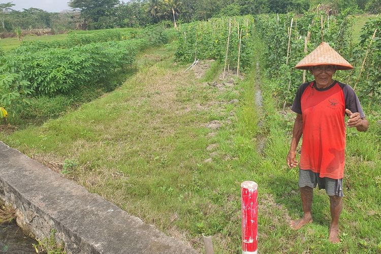 Sudiharjo menunjukan patok rencana pembangunan jalan tol Yogyakarta - YIA di Sedayu, Bantul, Rabu (3/10/2024).