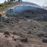 Kondisi Terkini Kebakaran Hutan di Perbukitan Danau Toba, Titik Api Sulit Dijangkau