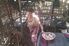 Kisah Nenek Rabina, Tinggal di Gubuk Reot Makan dan Tidur Bersama 8 Kucing