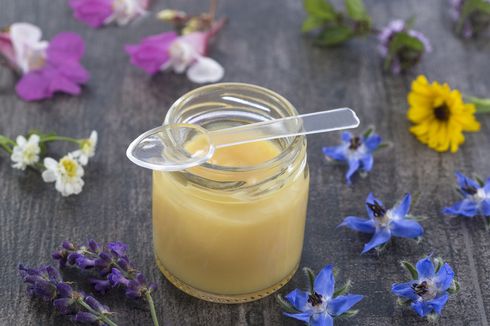 4 Manfaat Kesehatan Royal Jelly, Termasuk Menurunkan Kolesterol Lho