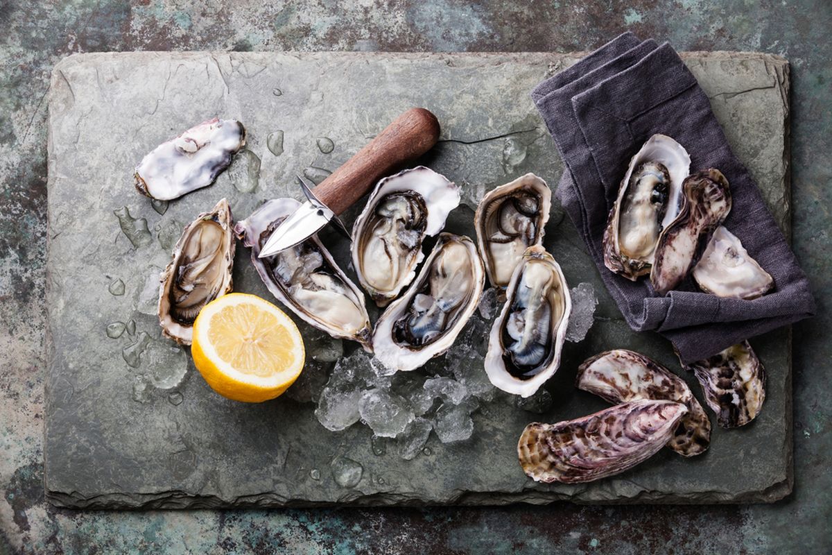 ilustrasi oyster atau tiram, salah satu jenis kerang impor. 