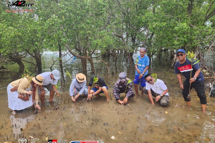 Para member ID42NER bersama masyarakat setempat, menanam 100 pohon mangrove di kawasan Lanal, Labuan Bajo.