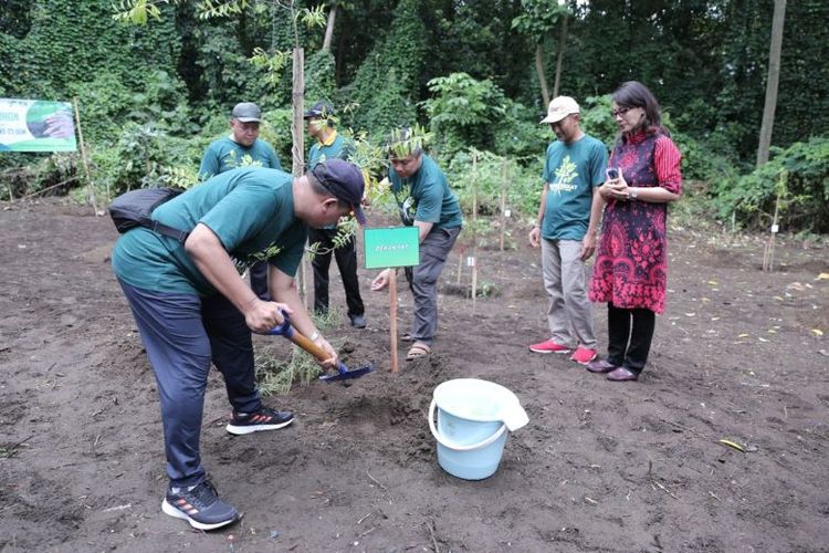 Penanaman Tanaman Nusantara di Arboretum Fakultas Kehutanan. 

