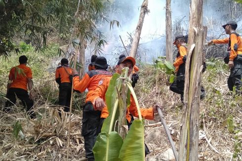 Sudah Seminggu, Karhutla di Gunung Kanaga Bogor Tak Juga Padam...