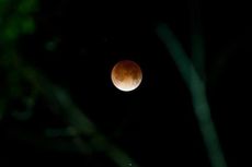 Tak Bisa Amati Gerhana Bulan secara Langsung? Lihat Saja lewat Video Ini
