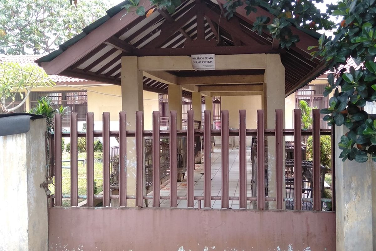 Dua anjing Bima Aryo jalani observasi di  Balai Kesehatan Hewan Ragunan, Pasar Minggu, Jakarta Selatan, Rabu (4/8/2019)