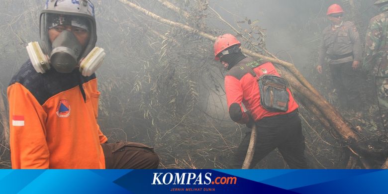 Berbagai Kerugian Yang Diderita Indonesia Akibat Kebakaran Hutan