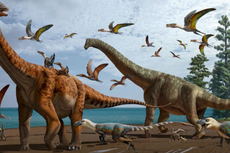 Bukti Baru Kuak Letusan Gunung Berapi Bantu Dinosaurus Dominasi Bumi
